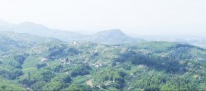 Ali ste že obiskali Stolp ljubezni?