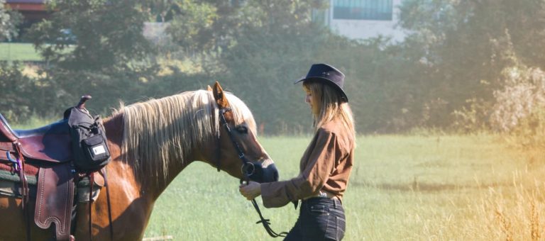 mnenje o knjigi: Taking the Reins (Katrina Abbott)