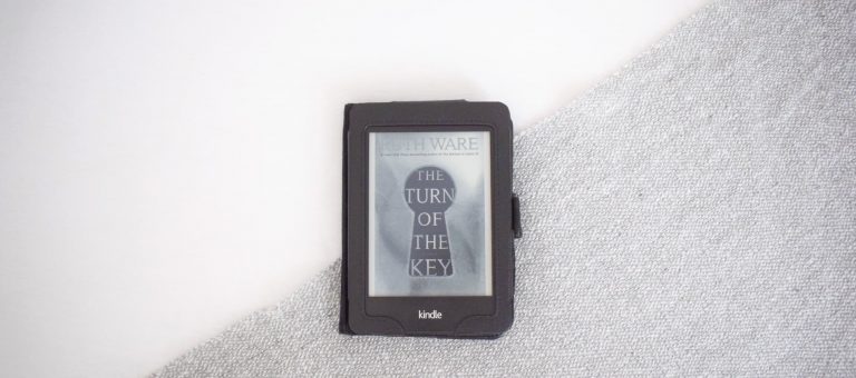 Ali je varu&scaron;ka res ubila otroka? (The Turn of the Key)